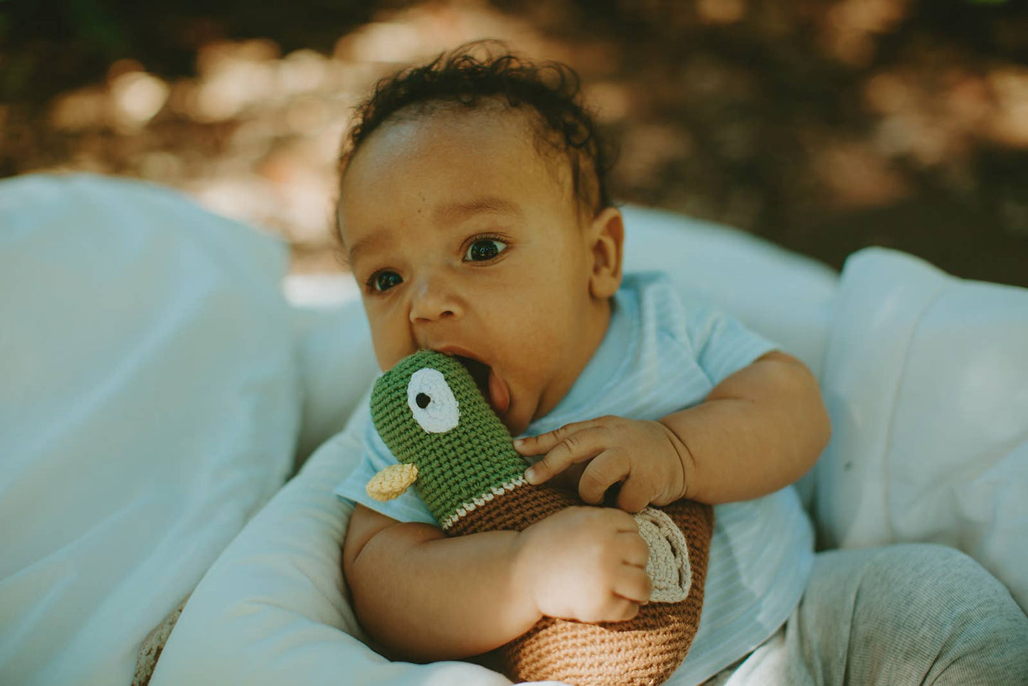 Baby Toy Mallard Duck Rattle