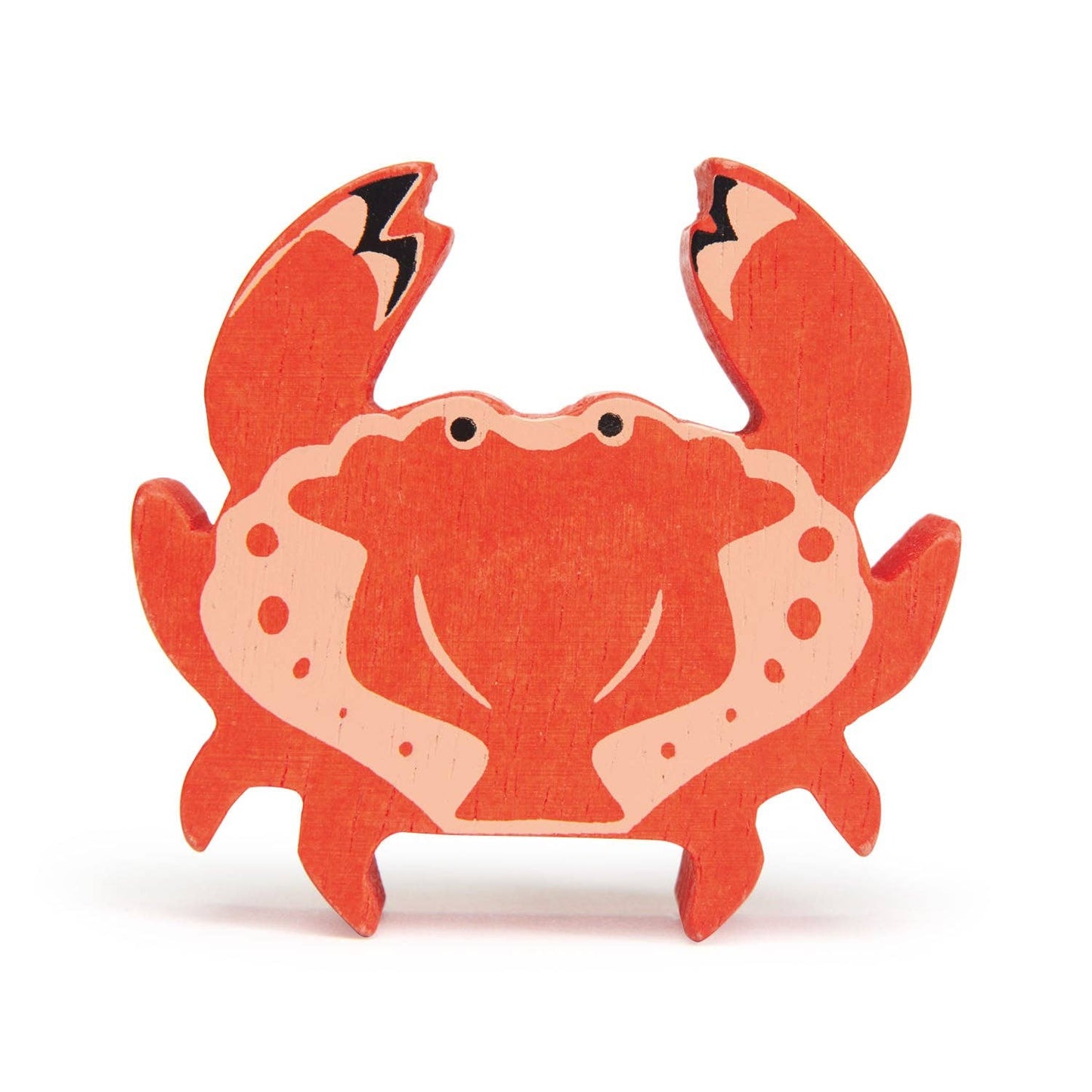 Coastal Animals - Red Crab