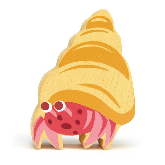 Coastal Animals - Hermit Crab