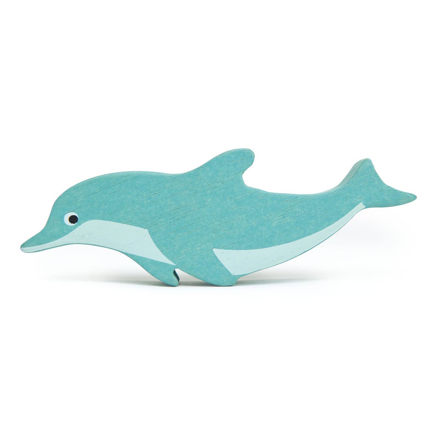 Coastal Animals - Dolphin