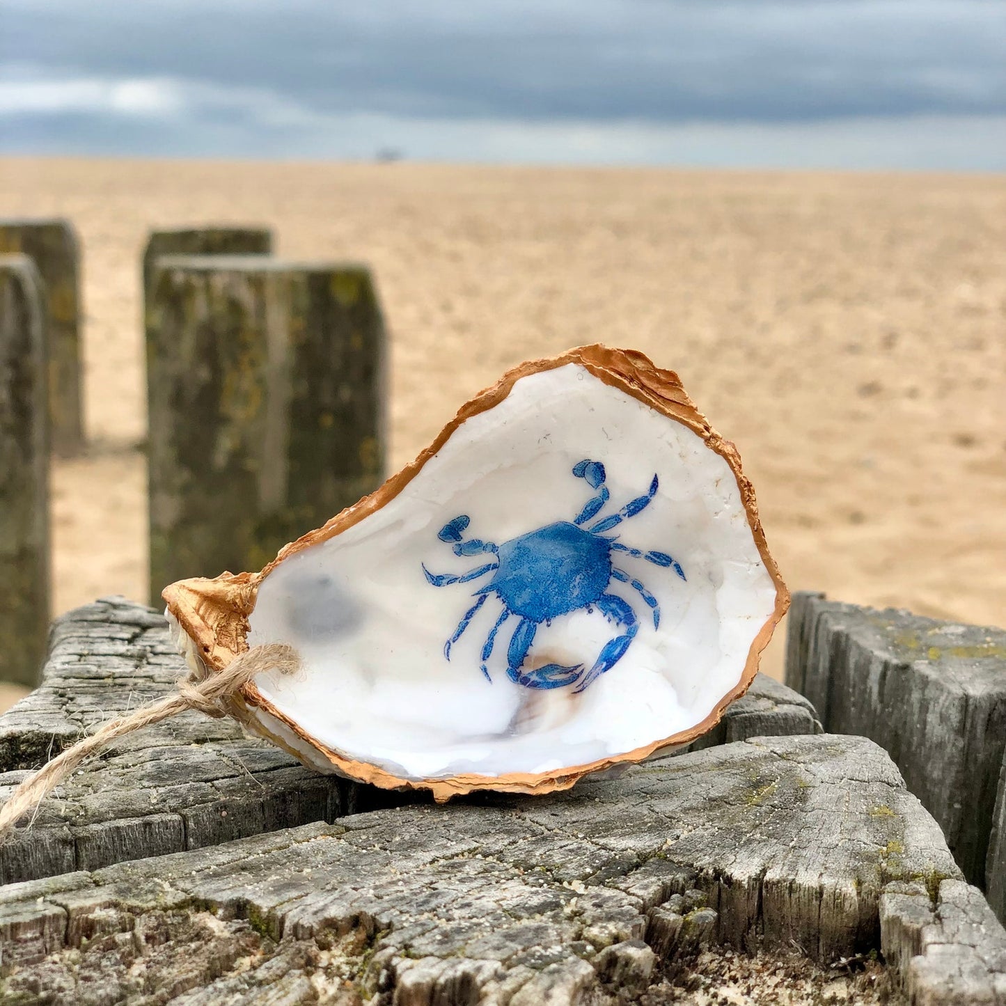 Oysters and Ink Decorated Oyster Shell