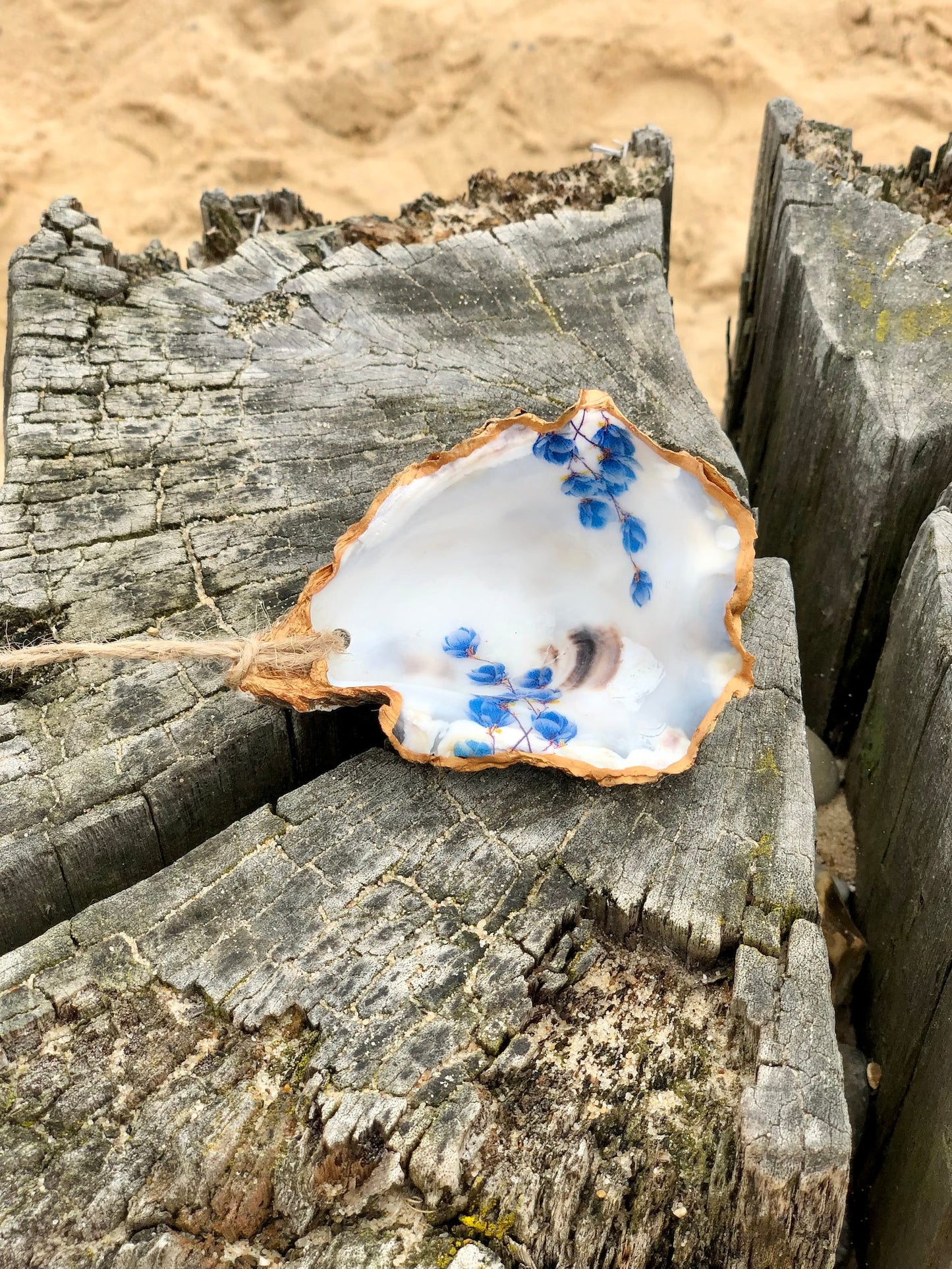 Oysters and Ink Decorated Oyster Shell